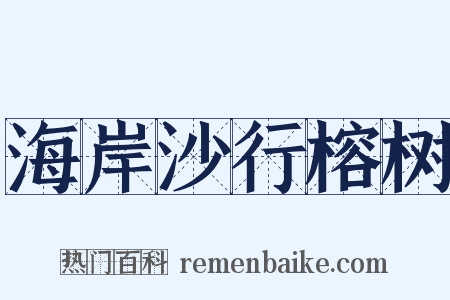 海岸沙行榕树是什么意思的图片
